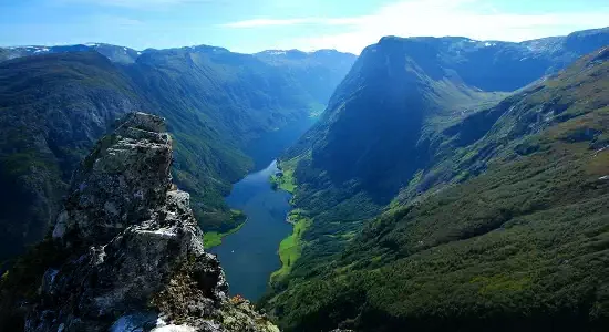 A highly detailed nature scene featuring a lush forest with towering trees vibrant wildflowers and a flowing river Sunlight filters through the den