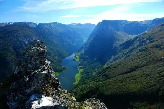 A highly detailed nature scene featuring a lush forest with towering trees vibrant wildflowers and a flowing river Sunlight filters through the den