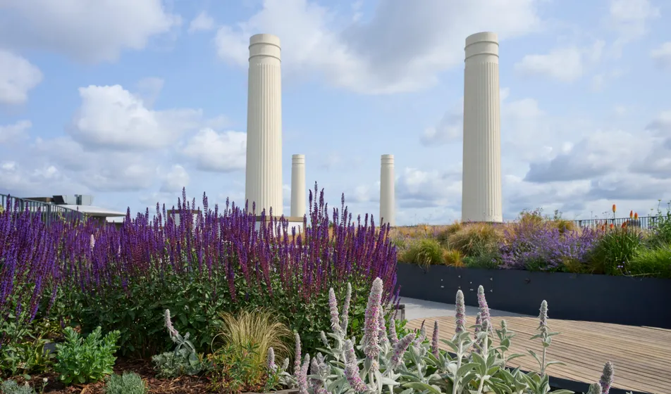 Battersea Roof Gardens Battersea Power Station by Graham Land