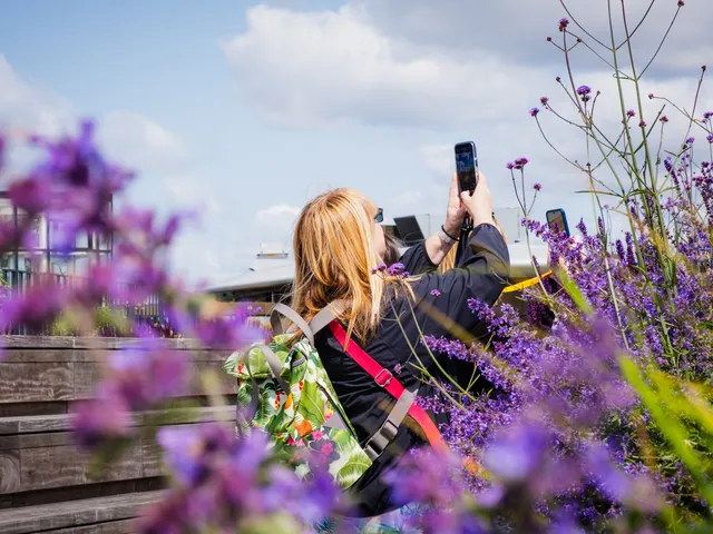 Visitor to Battersea Roof Gardens Battersea Power Station taking a photo. Credit Fin Nichols
