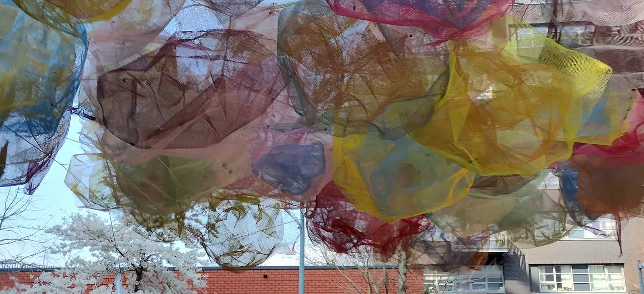 Catching Colour 1 Barbara Deason 2024