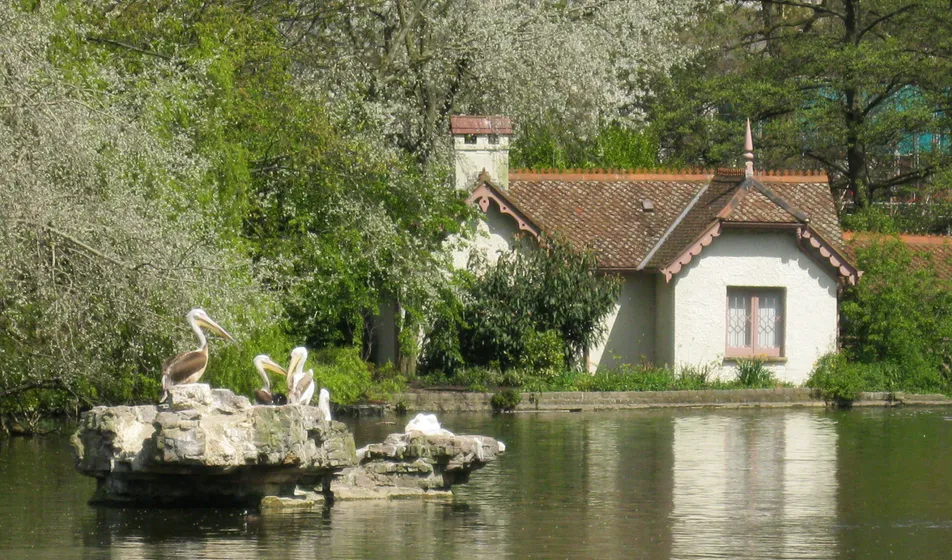 Duck Island Cottage