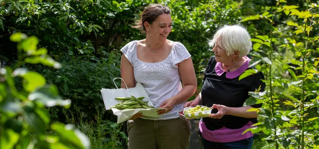 Walworth Allotment Association. Photo Anna Barclay
