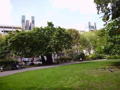 A photograph of Brunswick Square
