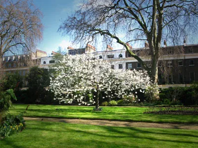 A Photograph of Mecklenburgh Square